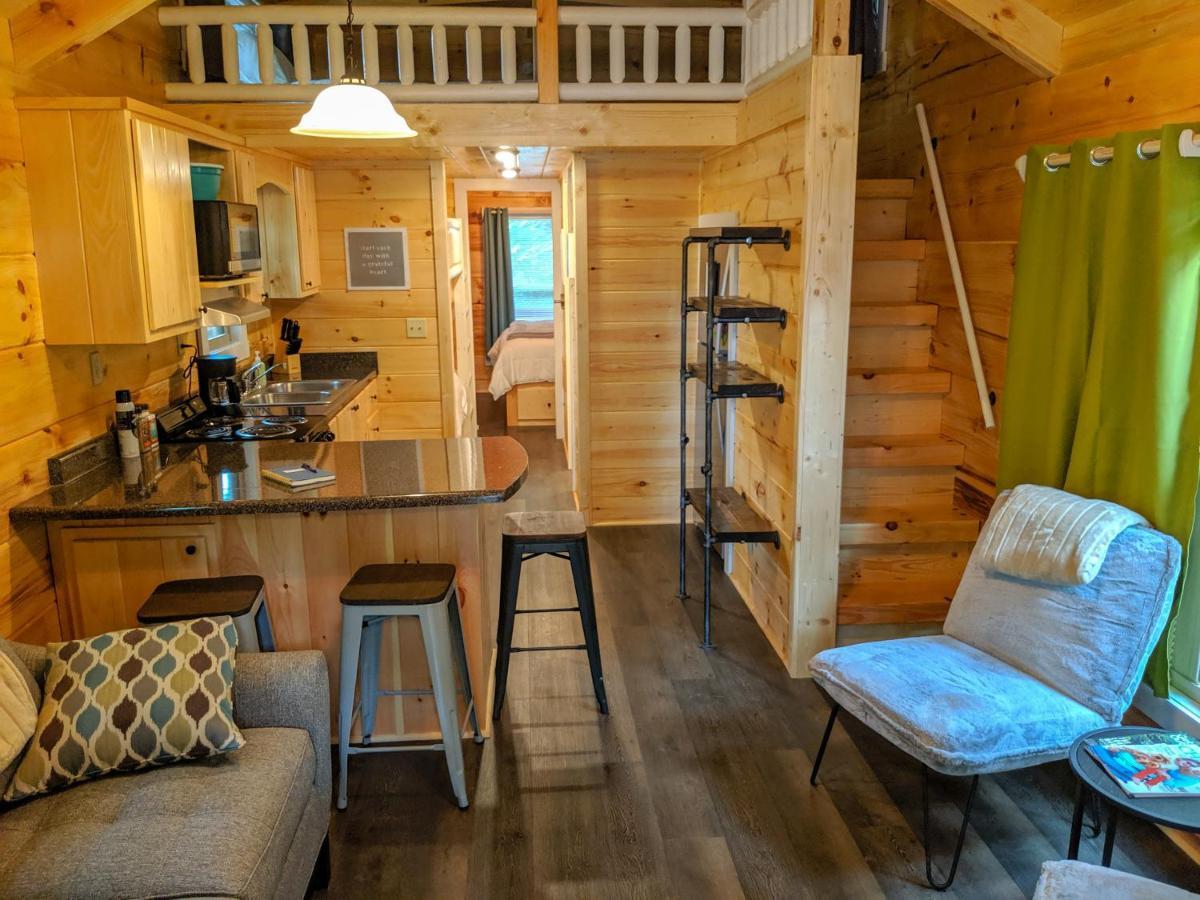 Elise Cabin Forest Retreat 5 Mins To Downtown Chattanooga Exteriör bild