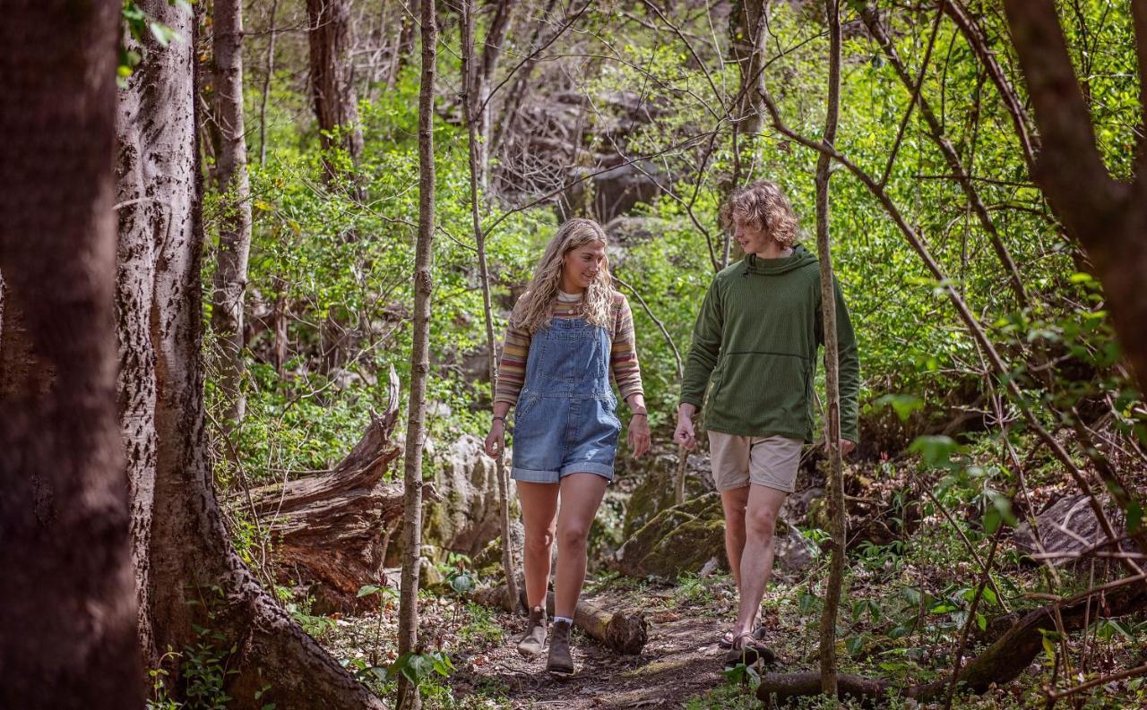 Elise Cabin Forest Retreat 5 Mins To Downtown Chattanooga Exteriör bild